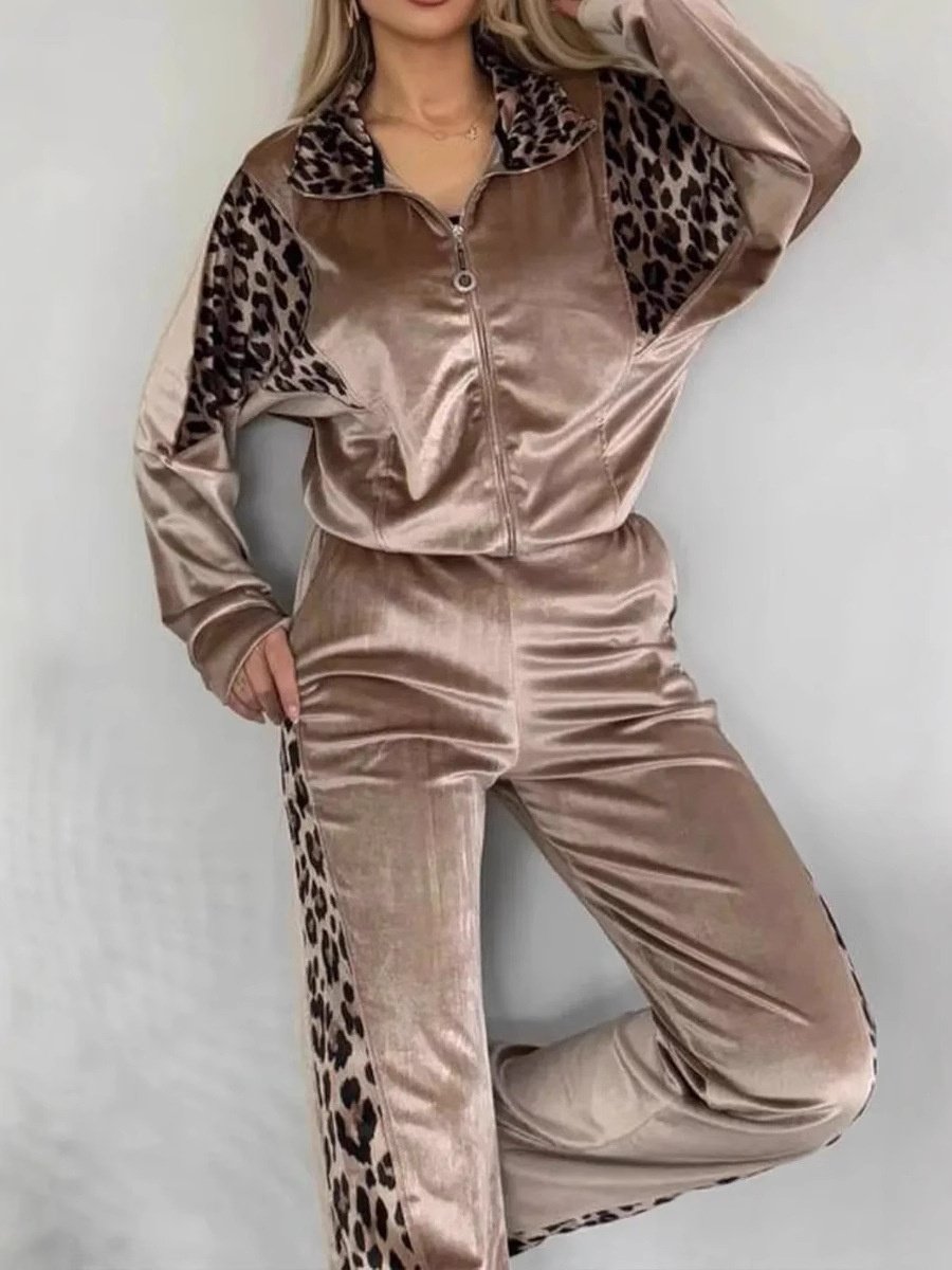 Damen Farbblock Print Zweiteiliges Set Täglich Langarm Lässig Frühling/Herbst Bluse mit Hose Matching Set