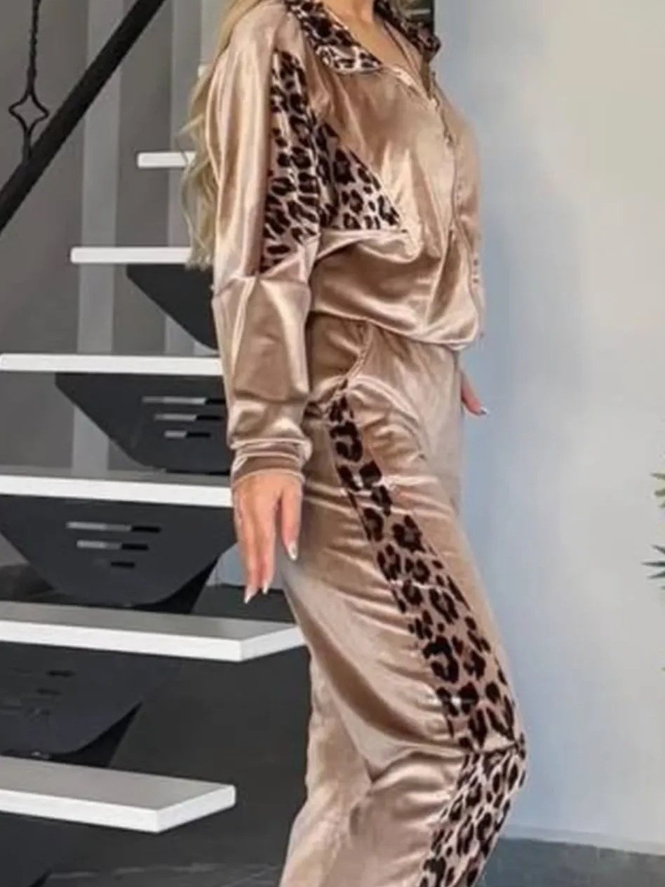Damen Farbblock Print Zweiteiliges Set Täglich Langarm Lässig Frühling/Herbst Bluse mit Hose Matching Set