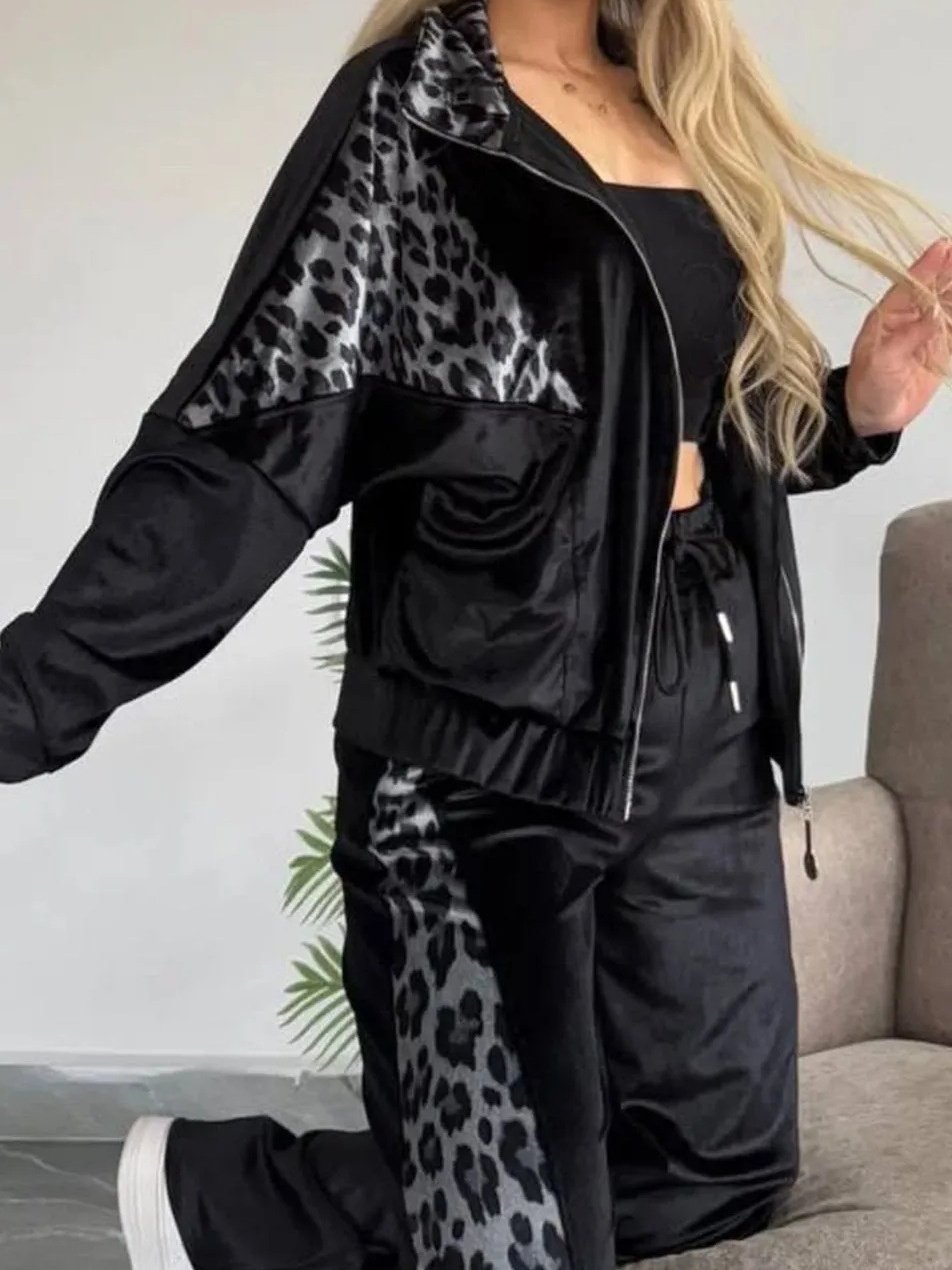 Damen Farbblock Print Zweiteiliges Set Täglich Langarm Lässig Frühling/Herbst Bluse mit Hose Matching Set