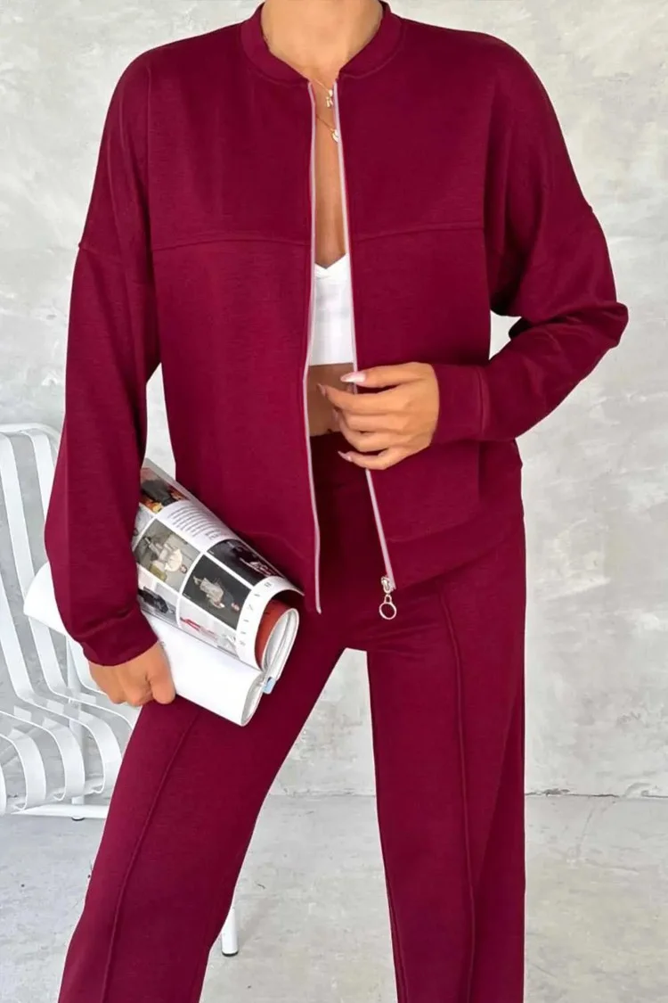 Damen Unifarben Zweiteiliges Set Täglich Langarm Lässig Frühling/Herbst Bluse mit Hose Matching Set
