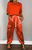 Rot