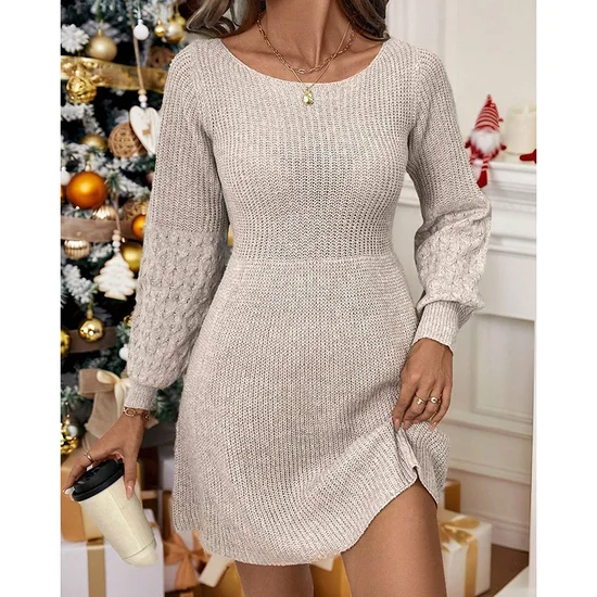 Damen Unifarben Frühling/Herbst Kleid Rundhals Langarm A-Linien-Kleid