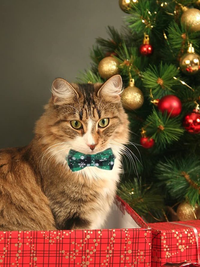 Weihnachten Kariert Schneeflocke Muster Haustier Schleife Ausschnitt Katze festlich Dekoration