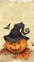 Lässig Halloween Rundhals Langarm T-Shirt