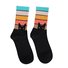 Katze und Hund Regenbogen Tube Baumwolle Socken