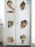 Spaß Wand brechen Katze dekorativ Aufkleber